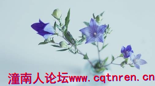 a98076cc58b68c573e4253f5ce99fd95.jpg