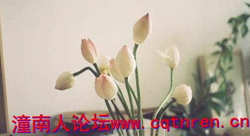 4b4435cdc809b73402d0929c08d2822e.jpg