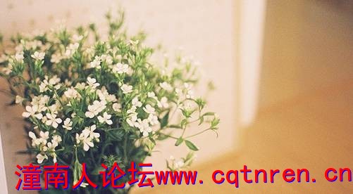 a69225f1bf6c9f68b63114cead76e9f5.jpg