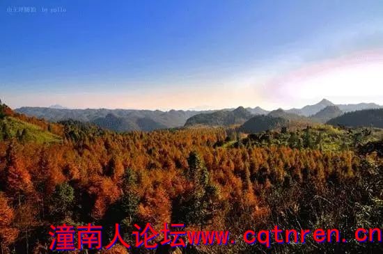 c53cd5f6433261ae4ba6c8cd5e8ee2a4.jpg