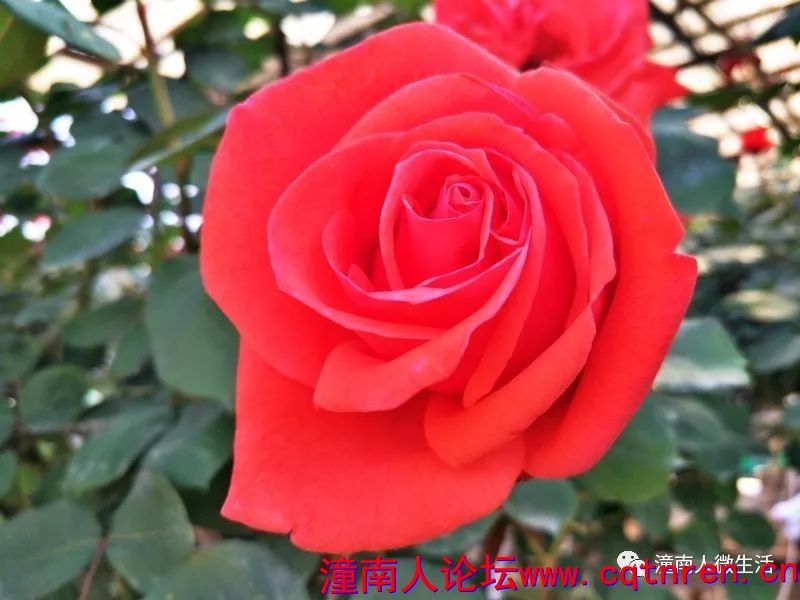 4fc3ac6f212caec5dae71dc074d8bd0b.jpg