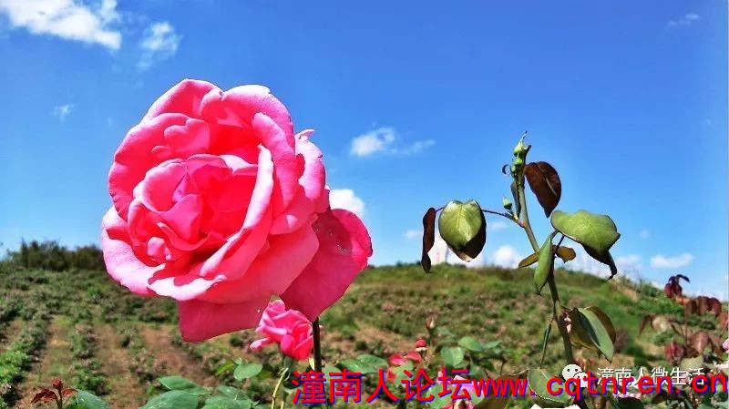 cd960b1f6eb305107fe2713b597c17c5.jpg