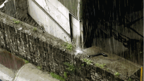 4e90fd8c8dc82945a41c902d4db31669.gif