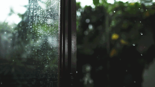 37321424e6f41d733cef9be0ee8ce27a.gif