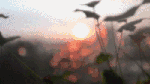 96e2f5136da9b230efbb8623c80ed0e8.gif