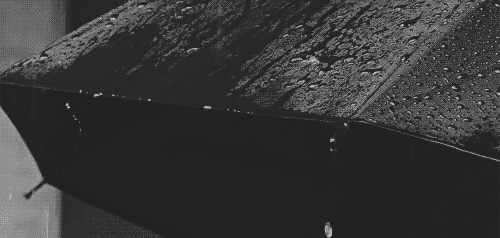 fa715d8698a1641de72c68be896db696.gif