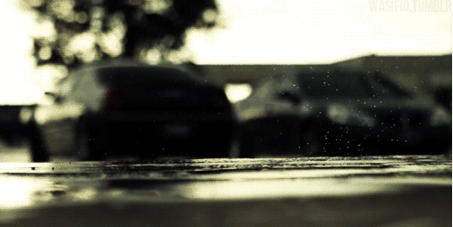 bd7f82311ac21c1276cc8686979efb9d.gif