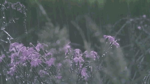 e9a09cc5f72e35022c478f7afa3ac539.gif