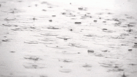 4a4e324c7e09ccb16e46d35747adad50.gif