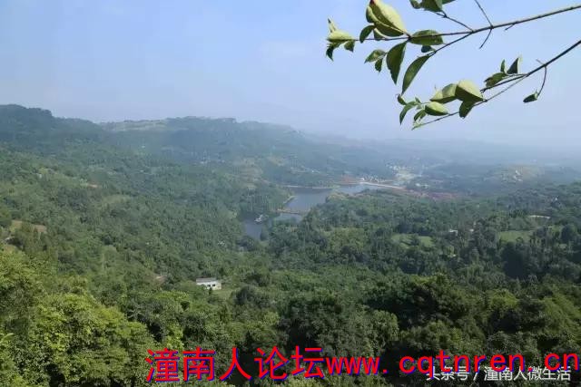 401a000072875b264460
