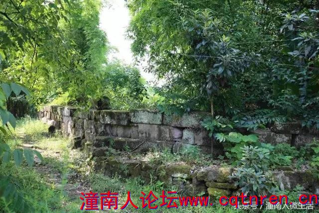 401a00007289b45de061