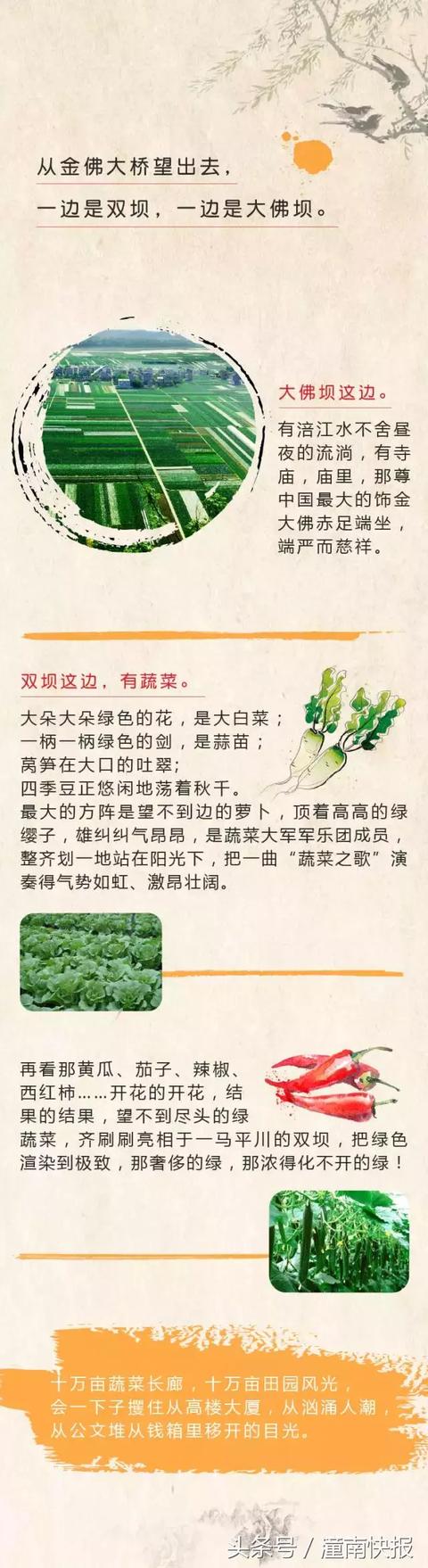 242e0003384f83e9527a