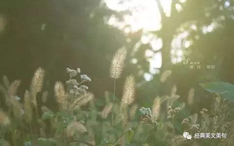 58e6d7245f93e575029c576777a7924c.jpg