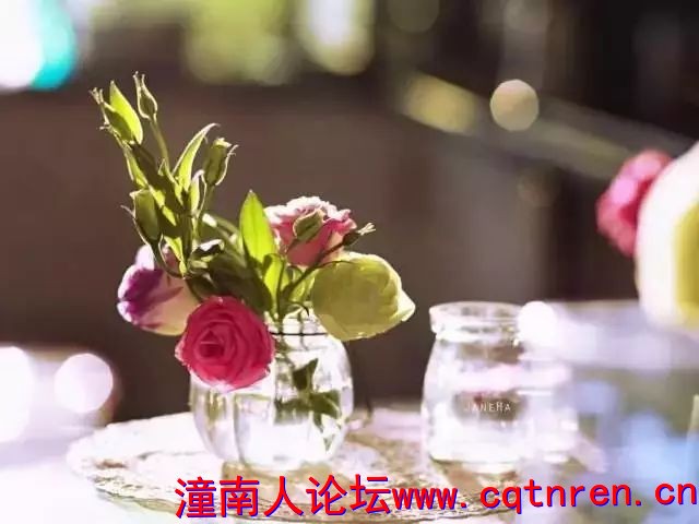 0dd383825be7f35070dad9a6a91e795e.jpg