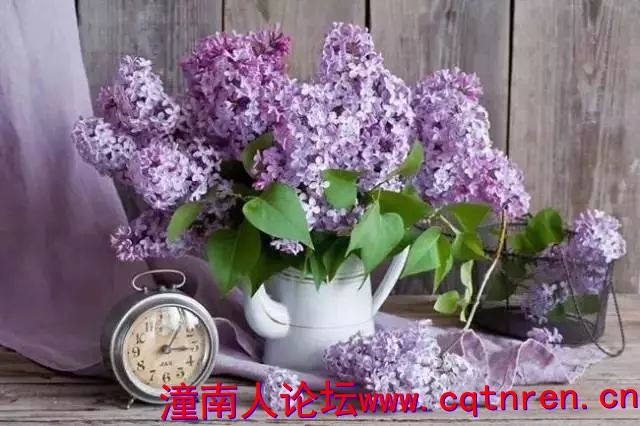 fc405102c27756d8e885ba30a660db97.jpg