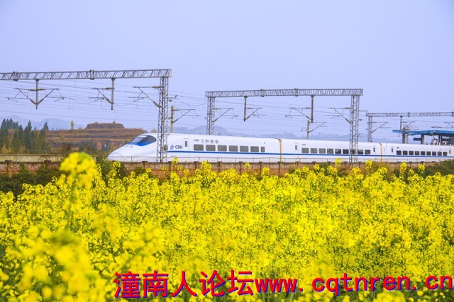 b3eeb8ad91250a9bb78938e4cc8f95e1.jpg