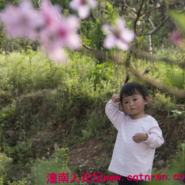 0a16fc78ff89832812f0888f23024cc1.jpg
