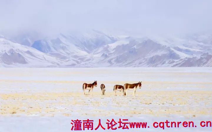 c436943d37623eafbc7ae3f9db204a00.jpg