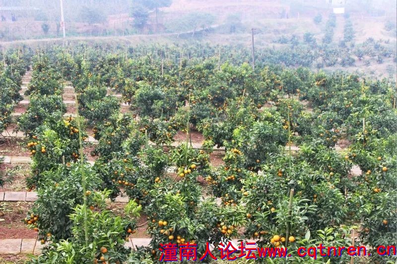 c0f1bfda8065abfb38c07e1e8ecf68d7.jpg