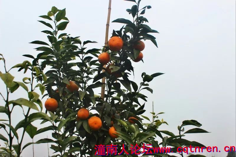 189cc665bf71cb6733ca18f211487d5c.jpg