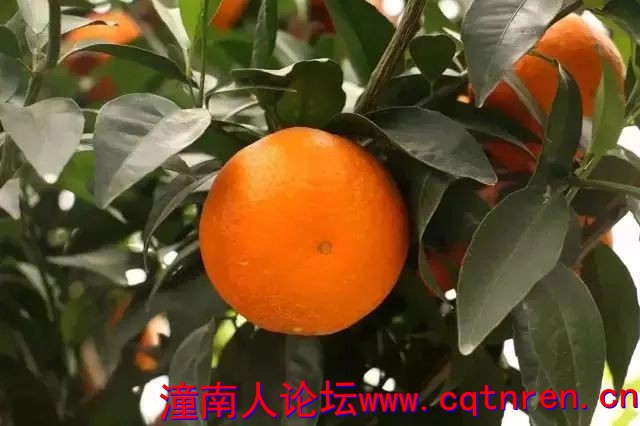 c2a46cb2d8489cb98e0354b984e568a3.jpg