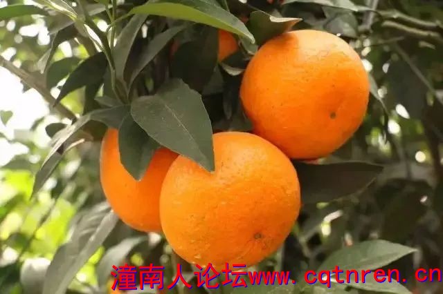 f9eebcbafbcd15b887419c209937a10d.jpg