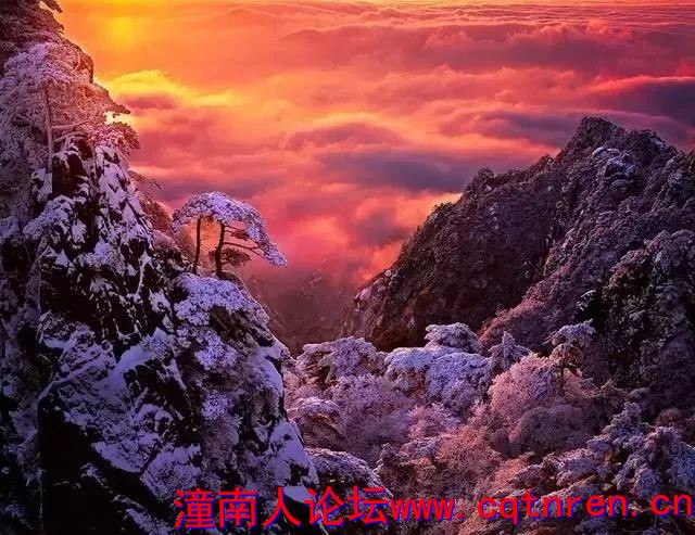 b09eff048301df885d673050e4b1031f.jpg