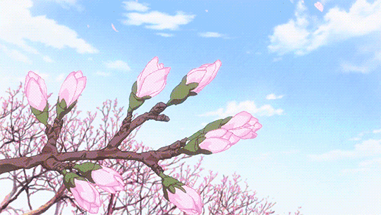 7edeb067e8413499895eef07b5a2174f.gif