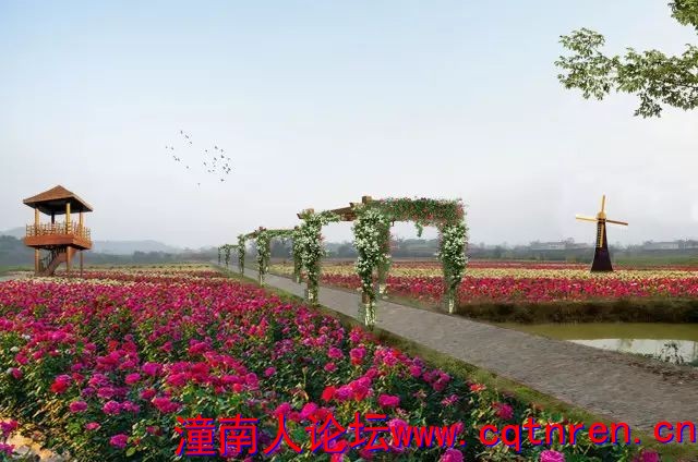 5351a736d747b8f93f6996c37dbc698d.jpg