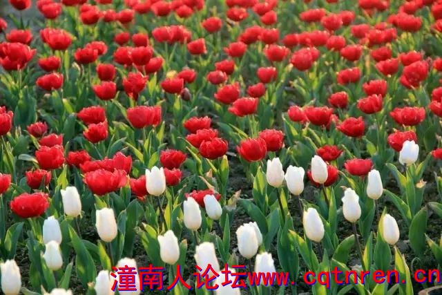 1a1bcca2956790b0f15e1eb705dd17d1.jpg