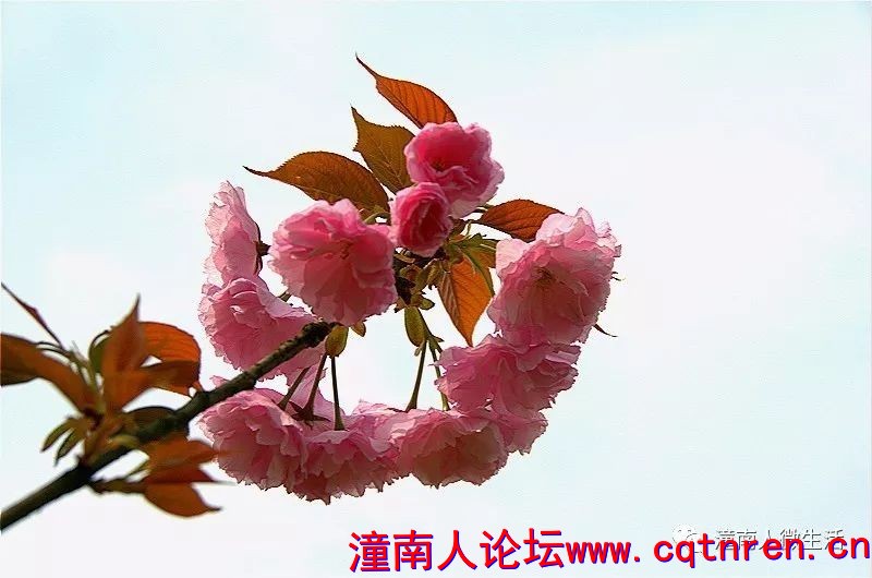 4216fb38f934388d1a5996d7cc168317.jpg