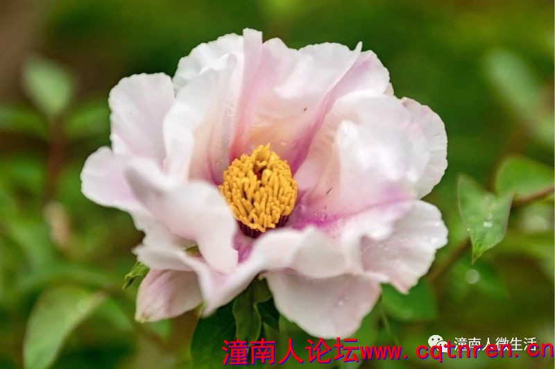 0d4adc57c54b65141f807b75c112b1e0.jpg