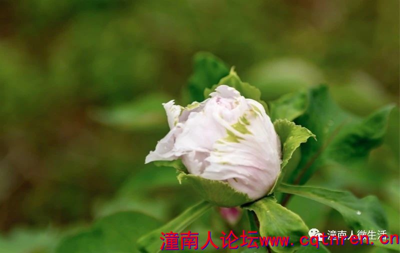 c454c0a88c81d58bb7f9f681bb9873b9.jpg