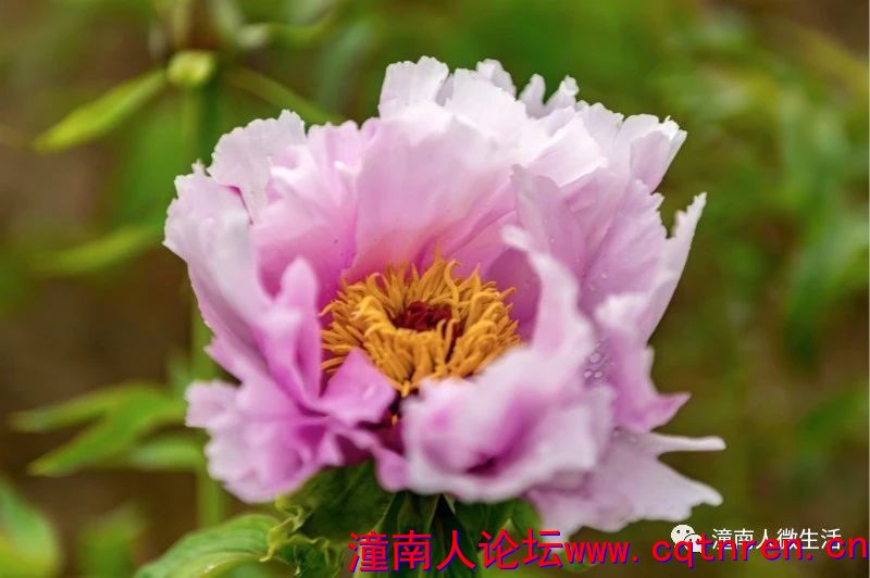 4d8ebb5241e2ea894bf0eb44348d792d.jpg