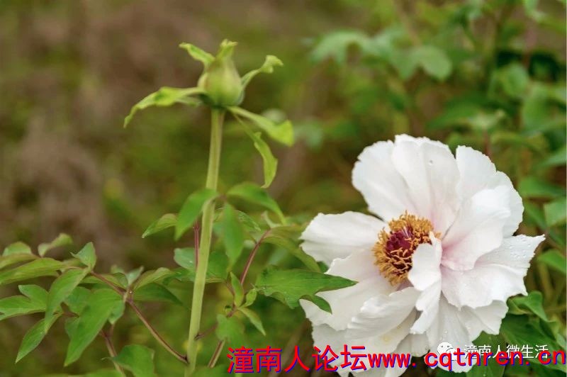 18d205a7e6232b9be632f7b92efbec61.jpg