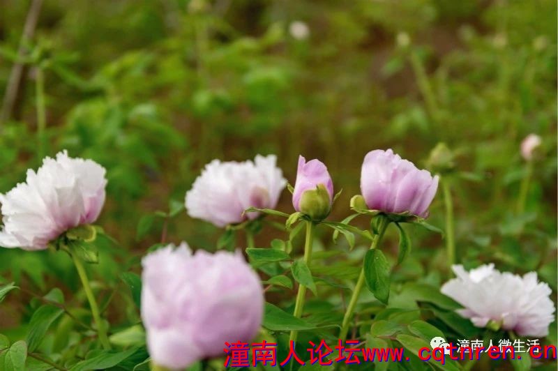 4949a5fed3eab0267320a7481feba814.jpg