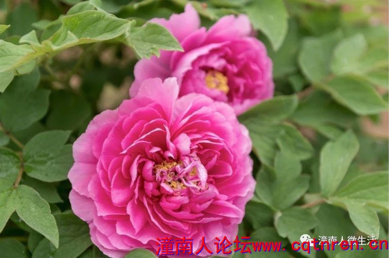 65c94efe9425c26084bc7d49adeccd73.jpg
