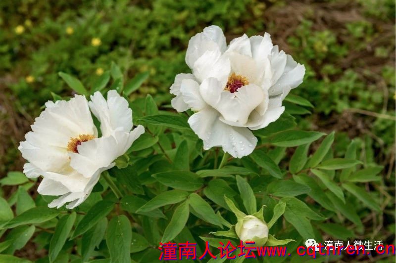 c2a4d0556b35e7ee78a55fec76737684.jpg