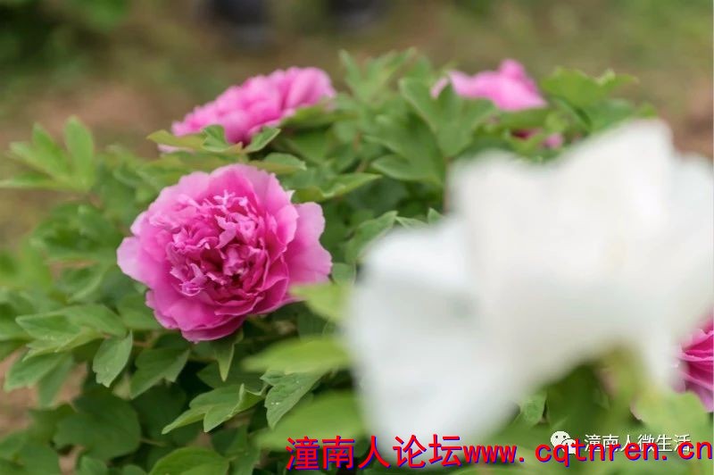 ae40159897f7704f93785b72e4e1f384.jpg