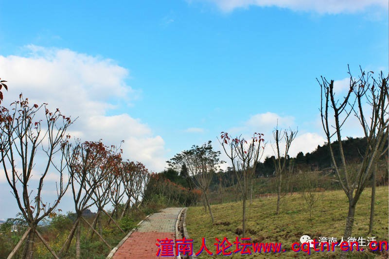 f64cf8c6c6537a52e6fd273c66c2f05b.jpg