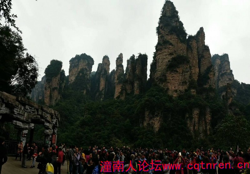 130012v3c8cc7c85ocm4ih.jpg.thumb.jpg