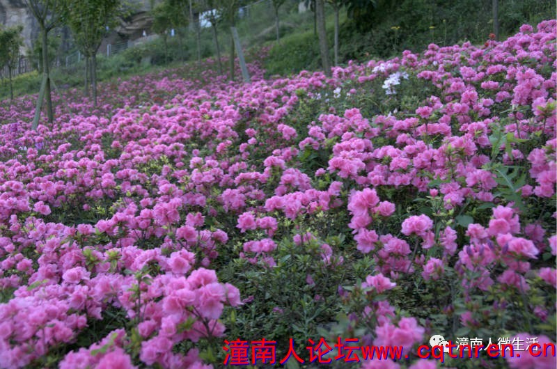 80f6ee390d062609dae3571f28c6f175.jpg