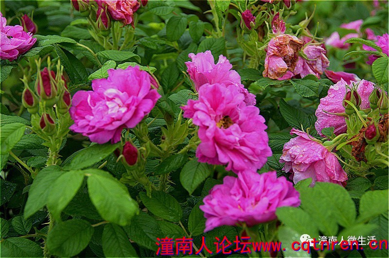 1f8c9ab0e8446f8f3cfa99971dfc93d5.jpg