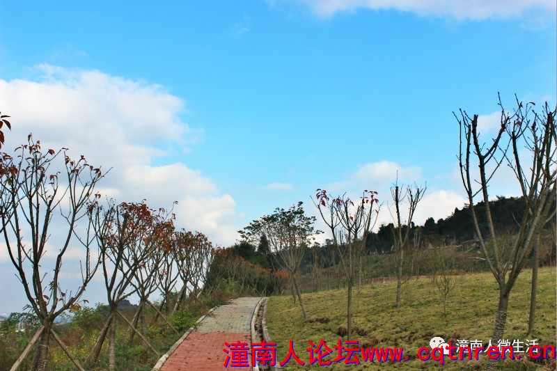 fe89b054ce61991c855f312a4aa79327.jpg