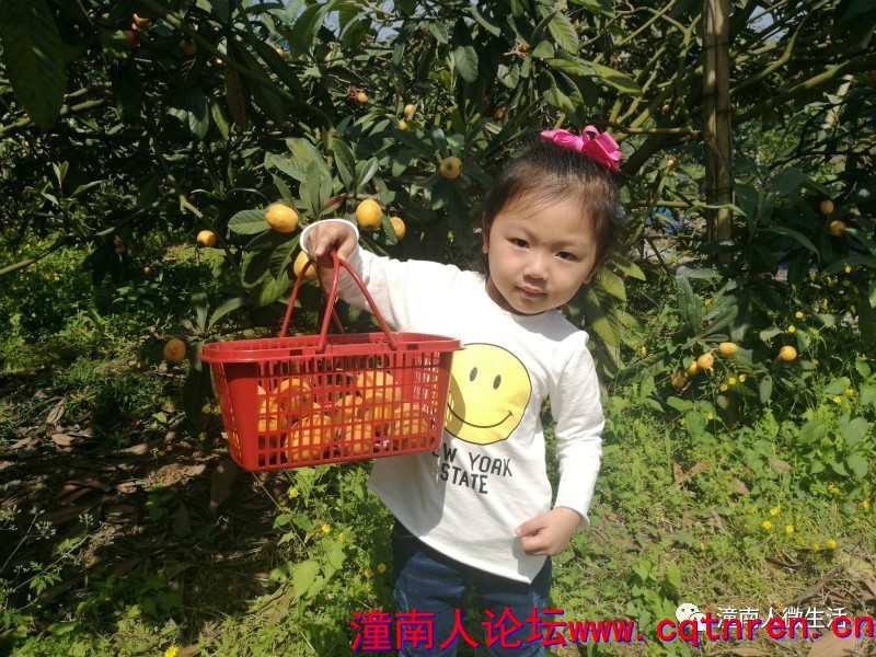 8fda234a788a4a402693bdeb7c9bccb9.jpg