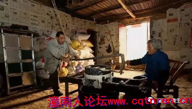 c423518a1dd71147dd1e182a80664a96.jpg