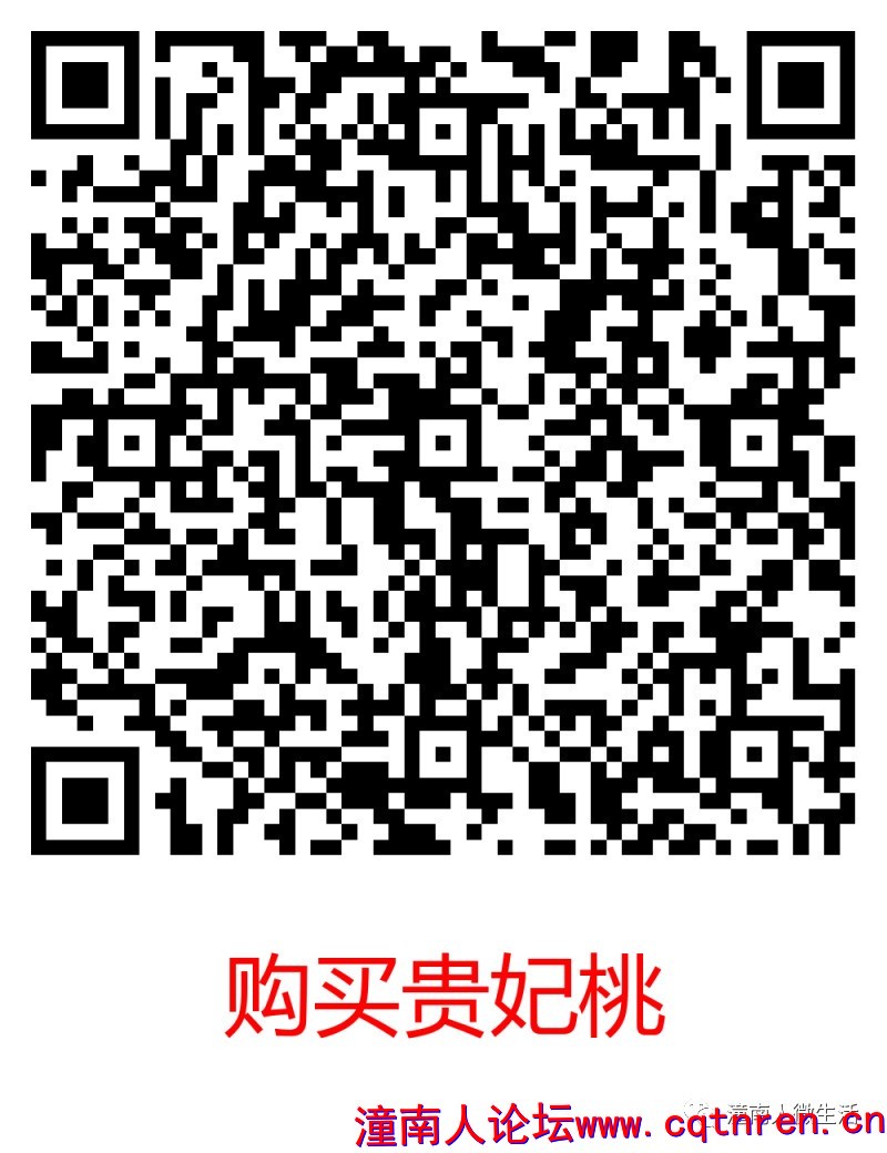c74f210a23ef32c57d9dc59ed4be397d.jpg
