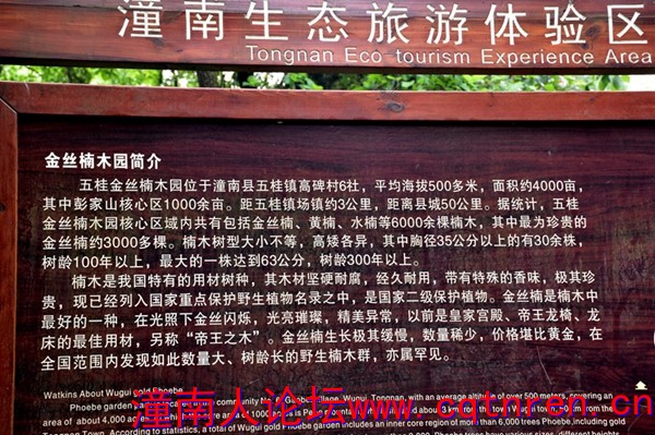 楠木园1.JPG