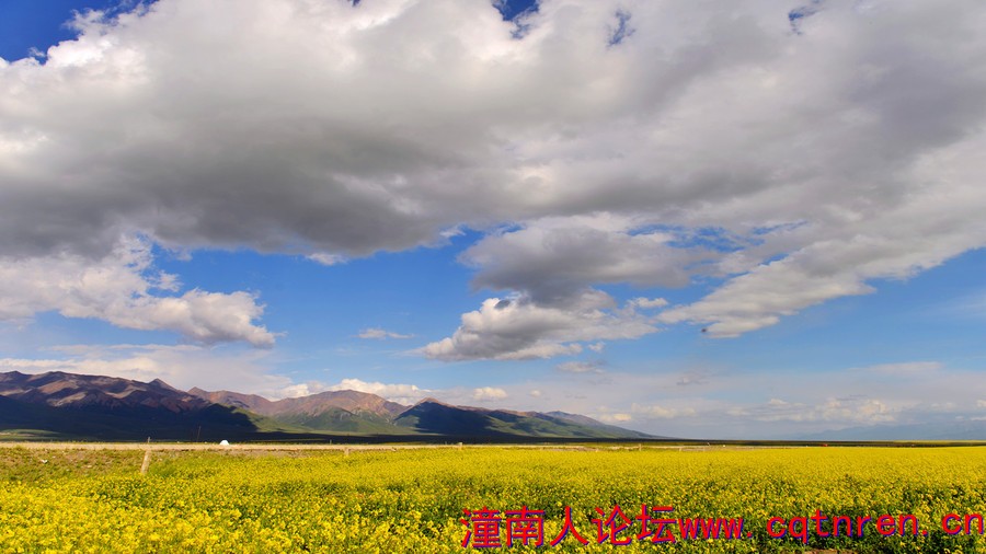 130728q0ctg9bht98xytyg.jpg