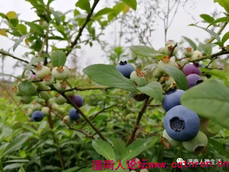 b1f3815895f4bc7bb4d29e932fe59374.jpg
